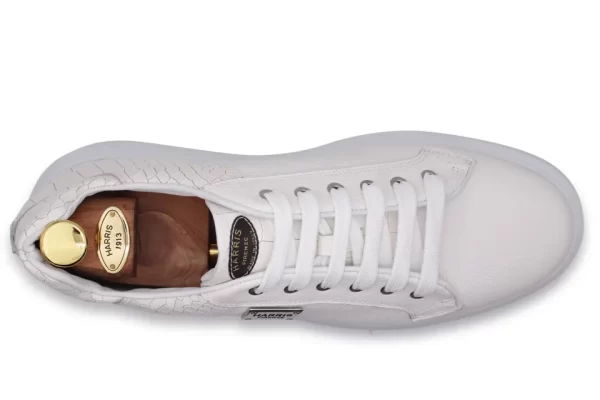 Harris Sneakers in pelle^ Sneakers